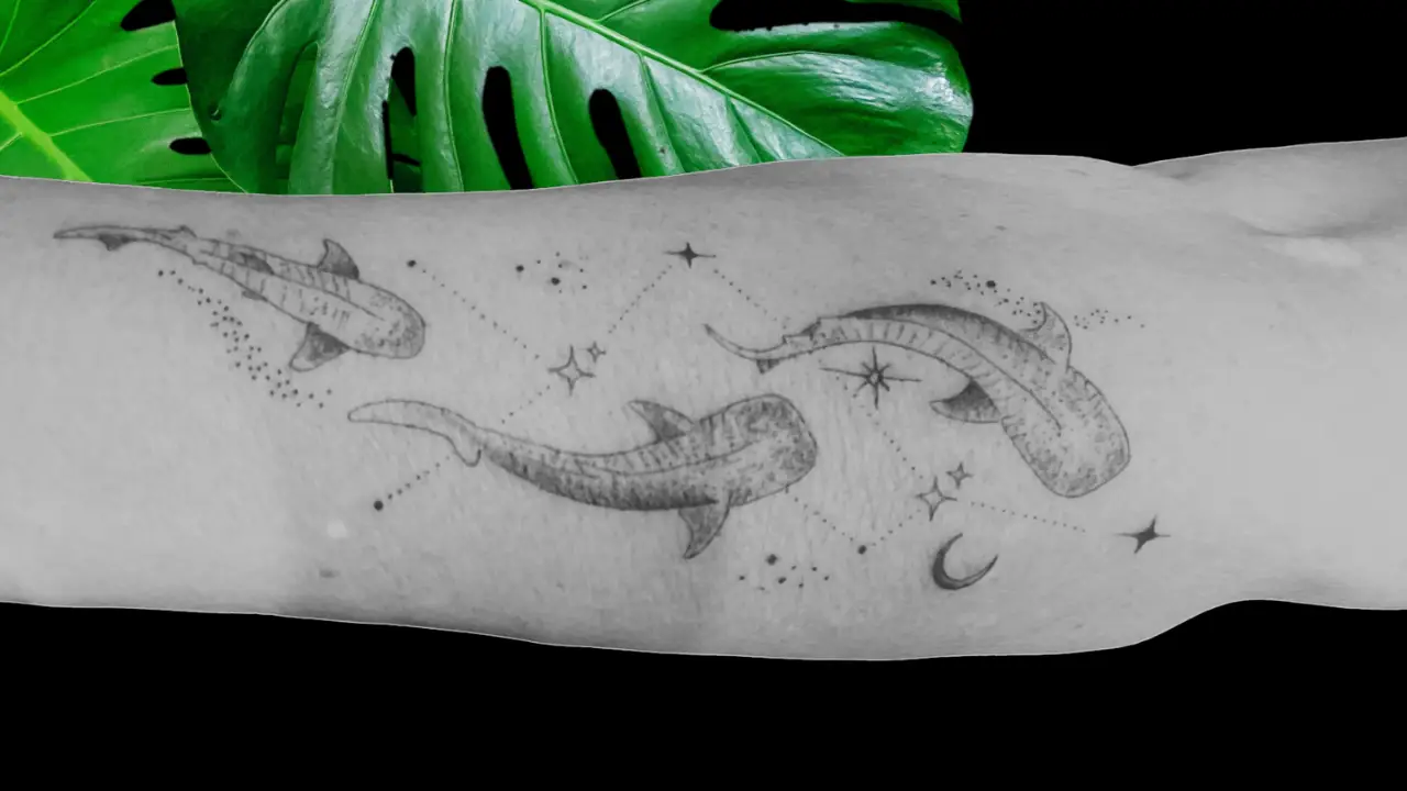 Tatouage en ligne fine Toulon - motif de requins avec étoiles et lune chez Kanea Tattoo & Beauty.