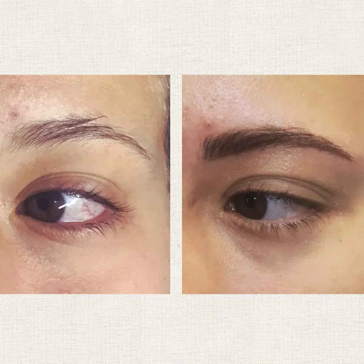 Portfolio Kanea Toulon