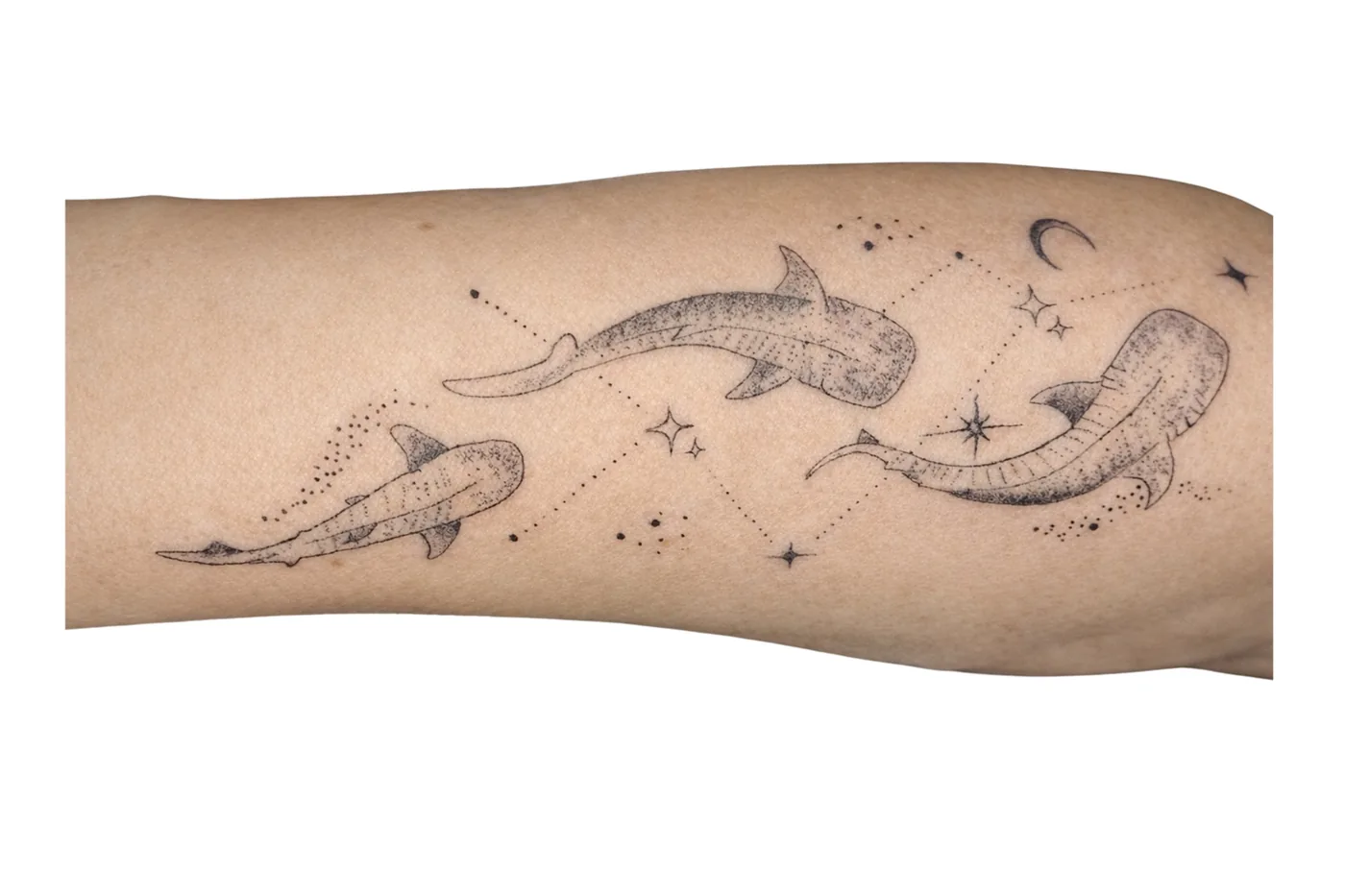 Tatouage fin requins, baleines et constellation sur le bras, Toulon — Kanea